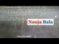 Nauja Bala - Gabrielius Ser