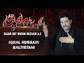 Salam bey watan hussain as  iqbal hussain baltistani