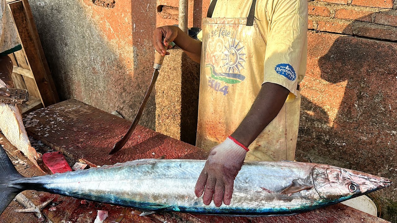 deep-sea-whaoo-fish-cutting-rainbow-runner-fish-barracuda-fish