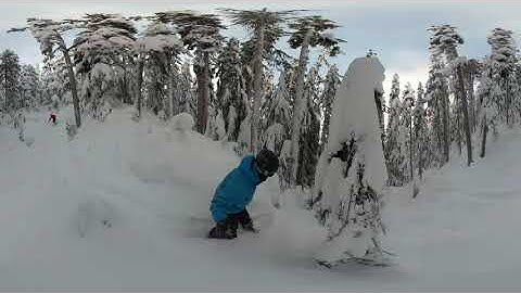 Somewhere in the Trees in Whistler (360 Video)