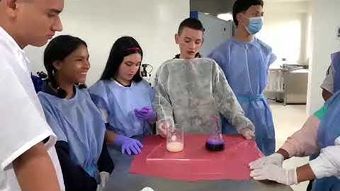 Práctica de laboratorio pasta para elefantes