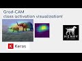 Grad-CAM class activation visualization - Keras Code Examples