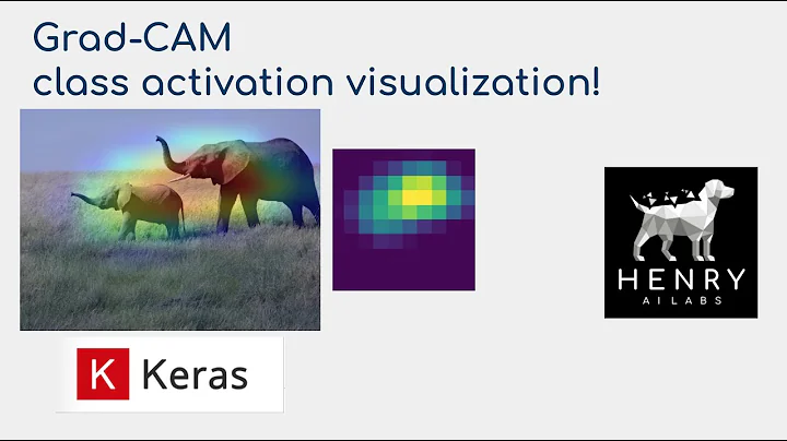 Grad-CAM class activation visualization - Keras Code Examples - DayDayNews