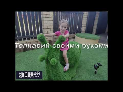 Видео: Хэрхэн кофе топиари хийх вэ