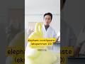 elephant tootpaste #ElephantToothpaste #LabDenganAlif #Kimia #FYP