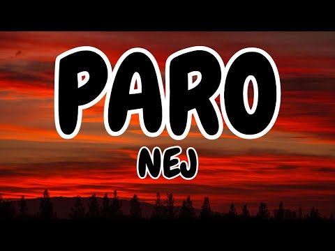 NEJ' — Paro (Song TikTok) (Speed Up Lyrics)🌈 @NEJ’