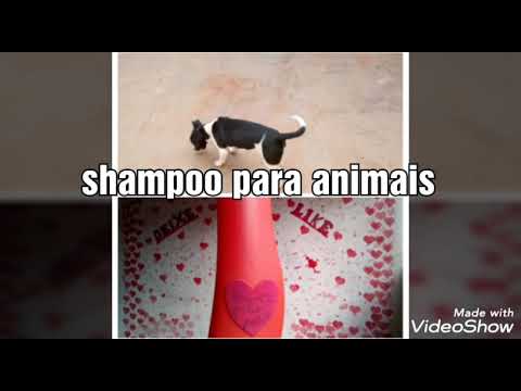 Shampoo contra pulgas e carrapatos camera iphone 8 plus apk