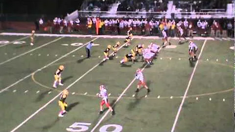 Andy Bischoff Junior Year tape