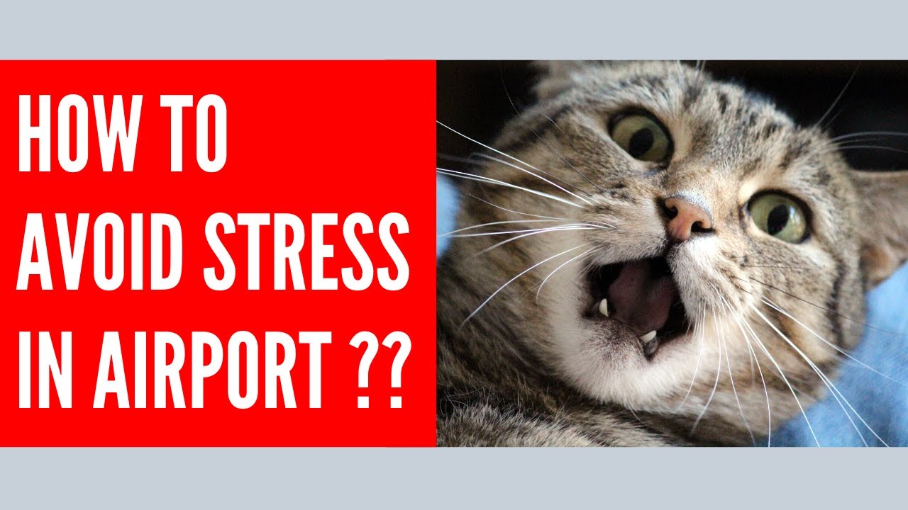 How To Not Stress in the Airport 