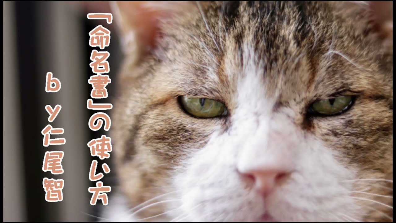 毎日にゃんこまみれ For Cat Lovers 21 話 題 の 本 が 続 々 猫好きの夏の話題図書 21 8 1 8 15 本とアニメと音楽とエトセトラ