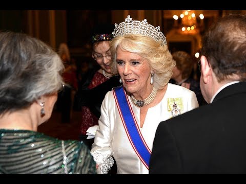 Video: Proč camilla nebude královnou?