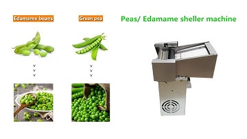 Small green peas sheller | Edamame shelling peeling machine | Pea pod shell removing peeling machine