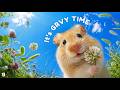 Playlist | Tiny Vibes 🐹 Chewing to the Beat | Groove Pop