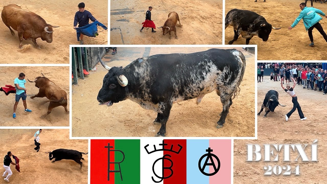 BETXI, 2 BUENOS TOROS DE SERGIO CENTELLES Y ANTONIO ORDOÑEZ Y UNO DE PASCUAL ALCALÀ