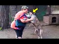 Perro Callejero Reconoce A La Mujer Que Tenía Delante, ¡Y Empieza A Derramar Lágrimas!