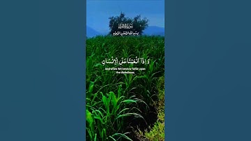 تلاوة خاشعة بصوت جميل ومؤثر #قران_كريم #elmulquranعلم #اكسبلور #المصحف #قرآن #duet #راحة_نفسية