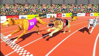 Dog 🐕 Race Game: Dog Racing 3D=Android gameplay Mr sad🌸 screenshot 5