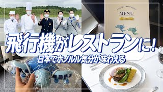 まるでホノルル線の旅気分！！限定スペシャルイベント「レストラン FLYING HONU」