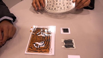 Printed Flexible Temperature Sensors from PST Sensors, interview with IDTechEx