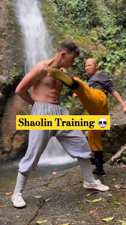 He Left Everything to Learn Kung fu! The Real Shaolin Kid!