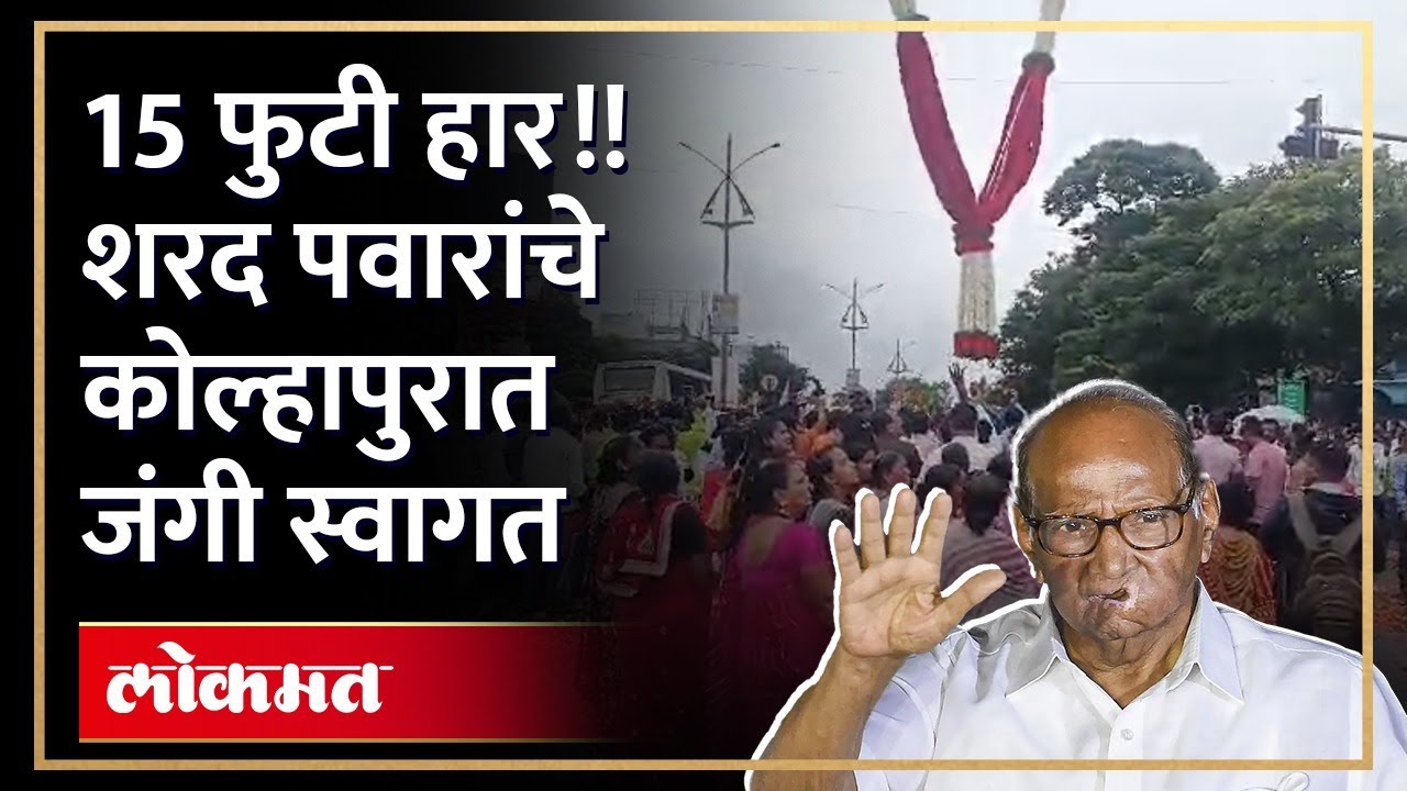 पुष्पवृष्टी अन् तब्बल 15 फुटी फुलांच्या हाराने कोल्हापुरात जल्लोषात स्वागत. Sharad Pawar in Kolhapur