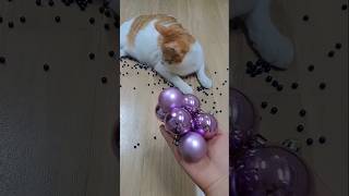 New Reverse Beads and Balls ASMR Video Sleep Calm Motion 🤩🔮#asmrshorts #sleep #ASMR #catasmr
