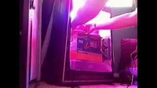 Mr grow pro led dead head og clones grow!