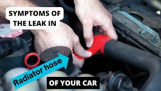 SYMPTOMS OF LEAK IN THE RADIATOR HOSE OF YOUR CAR (+radiator leak repair cost)