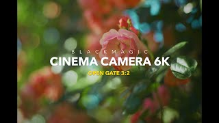 BLACKMAGIC CINEMA CAMERA 6K FULL FRAME | OPEN GATE 3:2 | AND ROSES BLOOM