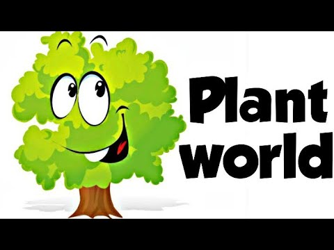 वीडियो: पौधों की दुनिया