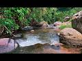 River Sounds to Deep Sleep 🌿 Peaceful Forest River Flow with Calming Water Stream Sounds