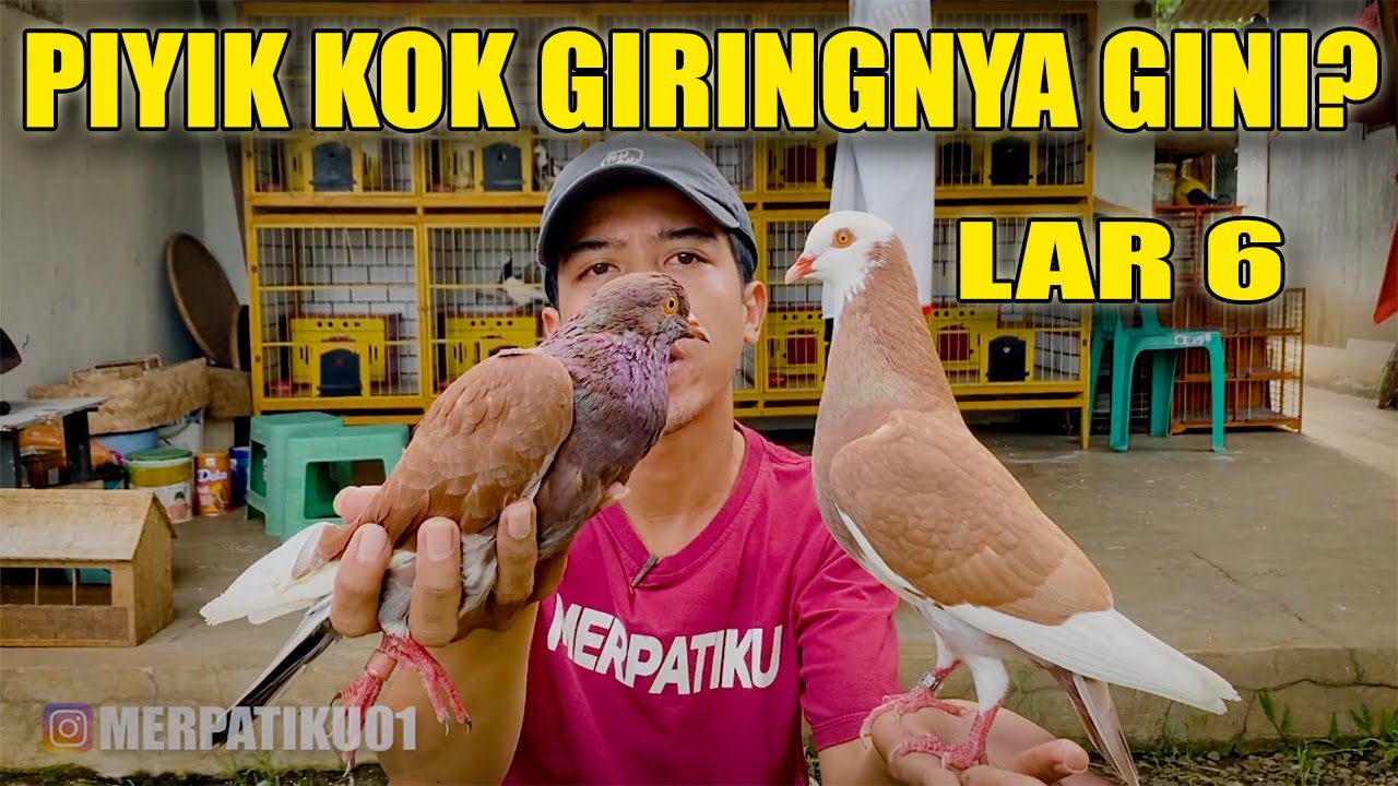 MOMENT PIYIK LAR 6 GIRING SUPER BRuT4LL