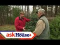 How To Pick The Perfect Christmas Tree with Roger Cook | Ask This Old House