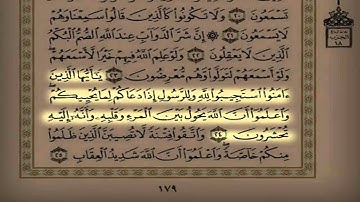 الشيخ سعد التوم السبيعي التراويح سادس ليلة سورة الأنفال 1 51