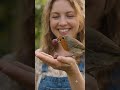 Girl at grape garden video