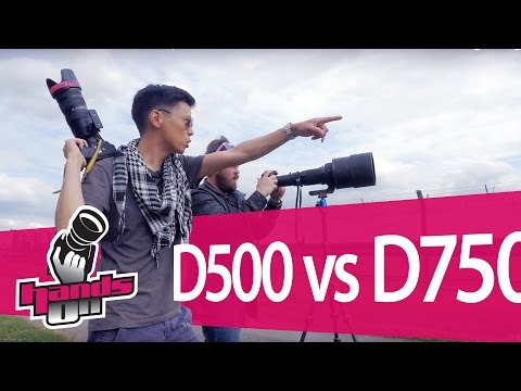 Nikon D7500 Vs Nikon D500: Which Is Better?