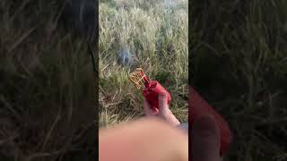 Italian Tric Track Cipolla