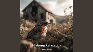 Birdsong Relaxation: Soothing Natural Melodies, Pt.9