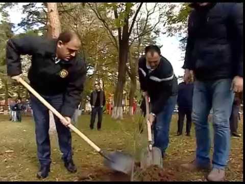 გამწვანების აქცია წყნეთში