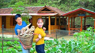 Harvest cassava. Store food in winter. Together, prepare starch cakes from cassava