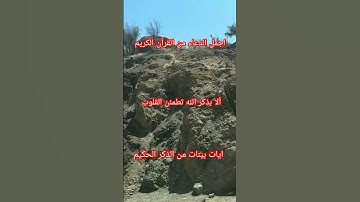 آيات بينات من الذكر الحكيم#quran #explore #اكسبلور #القرآن_الكريم #دعاء