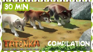 Tatonka en Français 🐺 Compilation - Du flair pour le danger 🐺 Dessin animé