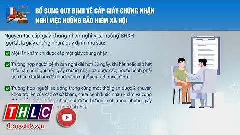 Giaấy chứng nhận bảo hiểm bản cứng là gì năm 2024