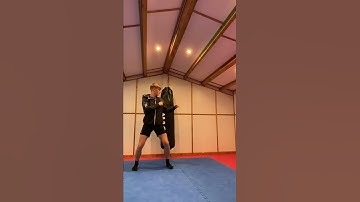 Recreating moves from Sleeping Dogs👊What game should I do next?