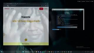 Artic Botnet C2 Showcase VS Pinterest/BOTNET SHOWCASE