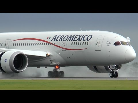Paris CDG close-up Landings - Boeing 777, B787, MD11, A300 etc.