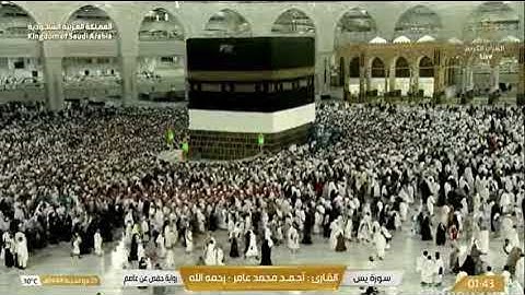 سورة يس للشيخ أحمد محمد عامر