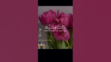 والعصر إنّ الانسان لفي خسر #تلاوةخاشعة