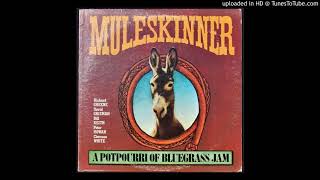 Video thumbnail of "Muleskinner - Blue And Lonesome - 1974 Bluegrass"