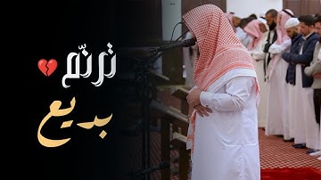 تلاوة رائعة من صلاة المغرب لفضيلة الشيخ أنس العمادي 8 شوال 1446 هـ